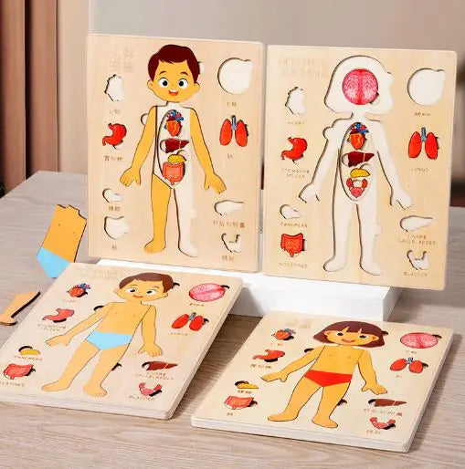 Kid's Human Body Organs Puzzles